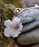 Josy - Tarot & Kartenlegen - Kipperkarten - Skatkarten - Spirituelles Heilen - Reiki