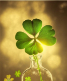 Hellaria - Blockadelösung - Medium & Channeling - Reiki - Zigeunerkarten - Chakren Harmonisierung